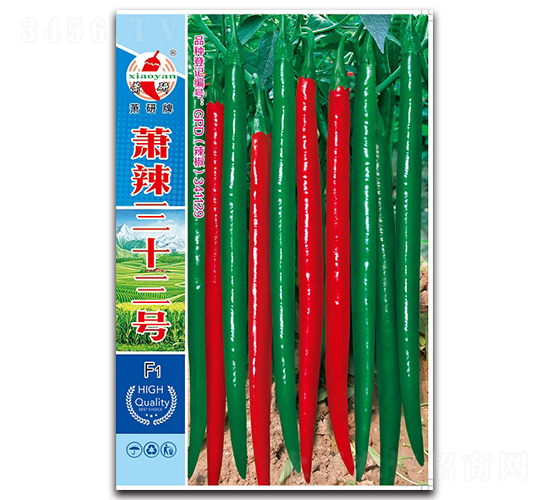 ʒ����ʮ��̖(h��o)-�����N��-ʒ�зN�I(y��)