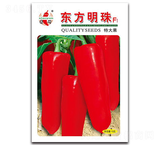 �|������-�ݽ��N��-ʒ�зN�I(y��)