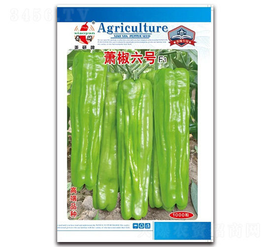 ʒ����̖-�ݽ��N��-ʒ�зN�I(y��)