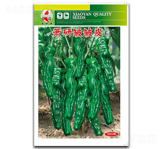 蕭研皺皺皮-泡椒種子-蕭研種業(yè)