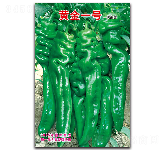 黃金一號-螺絲椒種子-蕭研種業(yè)