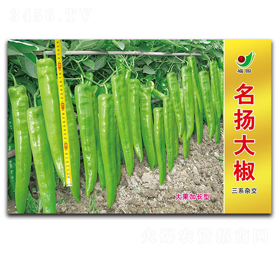 ���P(y��ng)��-�����N��-ʒ�зN�I(y��)