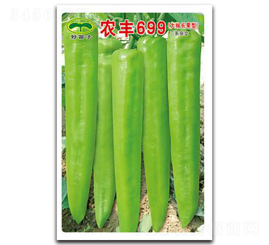 農(nóng)豐699-辣椒種子-蕭研種業(yè)