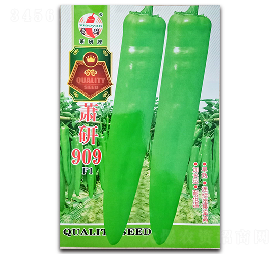 ʒ��909-�����N��-ʒ�зN�I(y��)