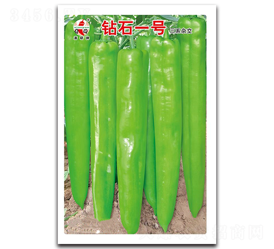 鉆石一號-辣椒種子-蕭研種業(yè)