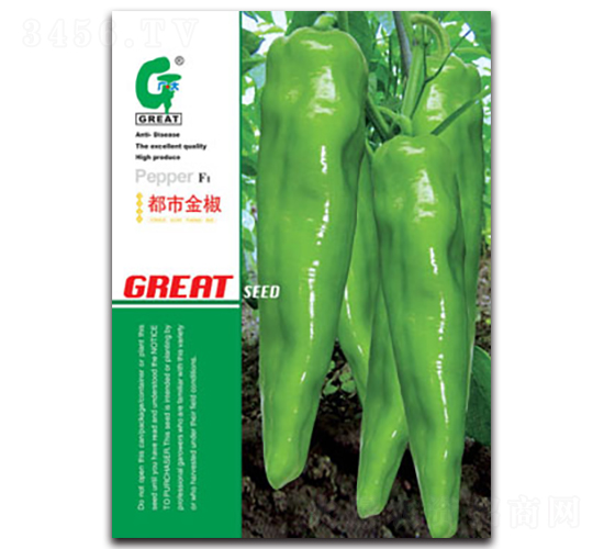 ���н�-�����N��-�V��