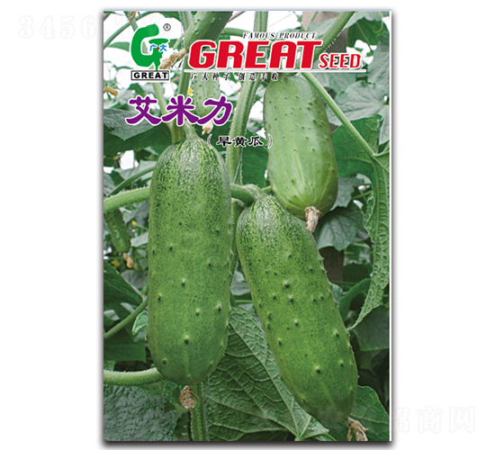 艾米力-黃瓜種子-廣大
