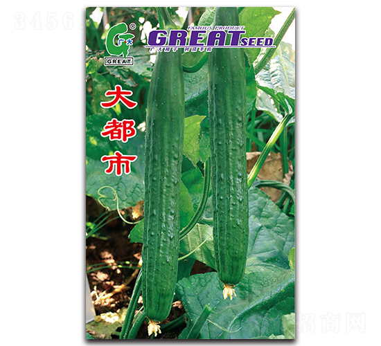 大都市-黃瓜種子-廣大