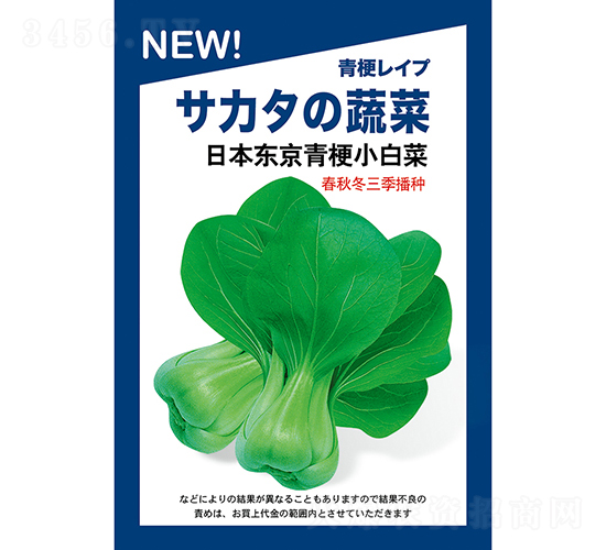 日本東京青梗小白菜-小白菜種子-金品農(nóng)業(yè)