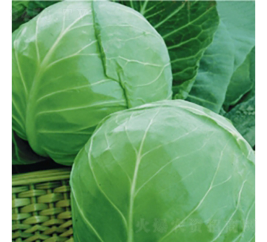 ���m�G��9̖-���{(l��n)�N��-��Ʒ�r(n��ng)�I(y��)