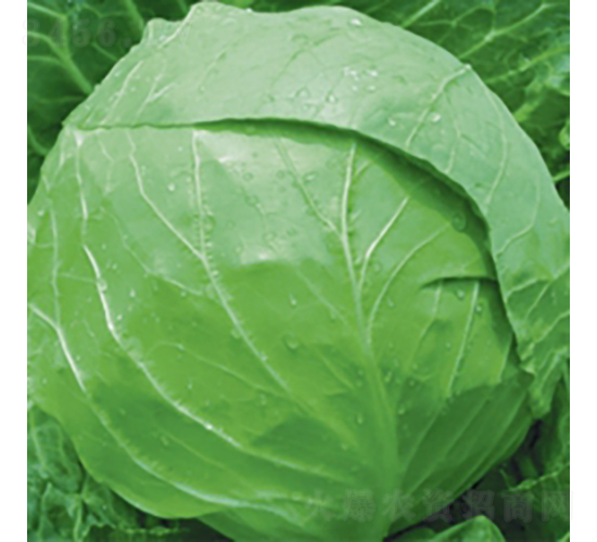 ���m�G��7̖-���{�N��-��Ʒ�r(n��ng)�I(y��)