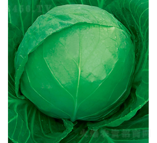 ��ԭ��-���{(l��n)�N��-��Ʒ�r(n��ng)�I(y��)