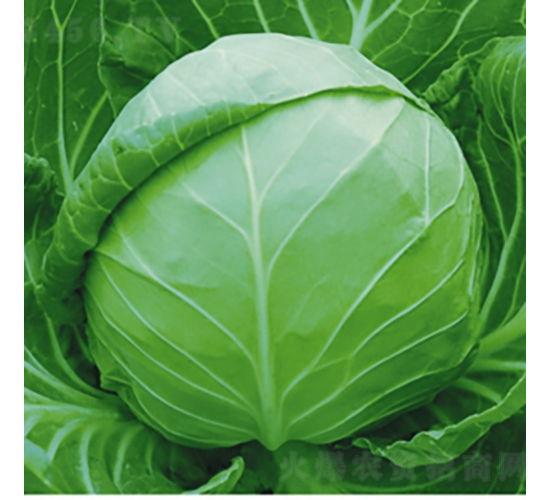 �Ї�(gu��)ϣ��-���{(l��n)�N��-��Ʒ�r(n��ng)�I(y��)