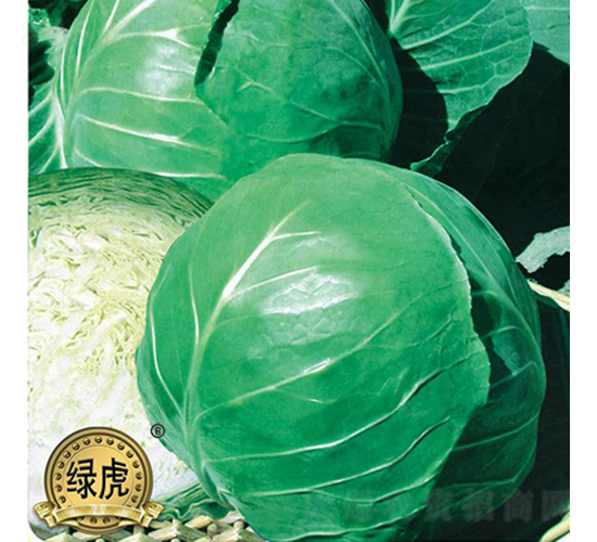 ����-���{(l��n)�N��-��Ʒ�r(n��ng)�I(y��)