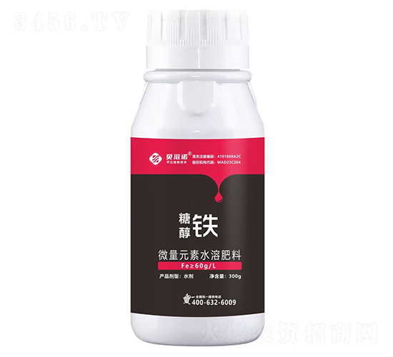 �Ǵ��F-ؐ���Z