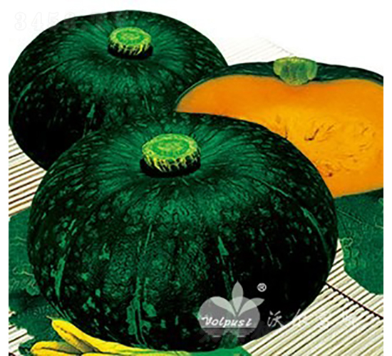 ����һ̖F1����Ʒ�|�߮a���GƤ�A�Ϲϣ�-�ϹϷN��-�֠���˹