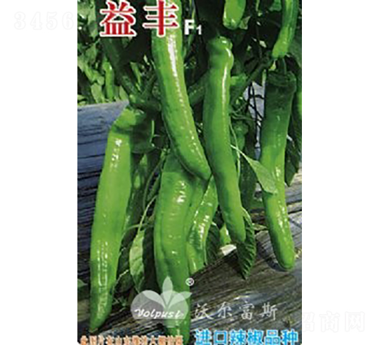 ���SF1���M���������������-�����N��-�֠���˹