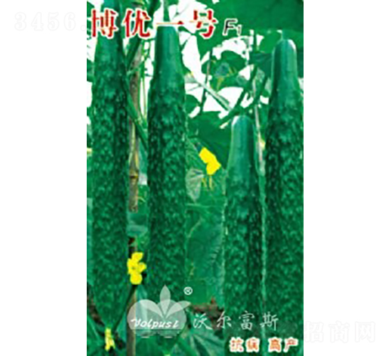 博優(yōu)一號F1（高產春、夏、秋黃瓜）-黃瓜種子-沃爾富斯