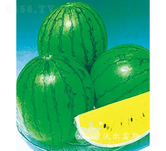 ���mF1���S��YƷ���ϣ�-���ϷN��-�֠���˹