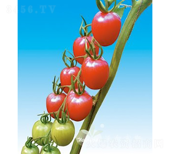 ���؋ɶ�̖(h��o)F1����TY�۹�С���ѣ�-���ѷN��-�֠���˹