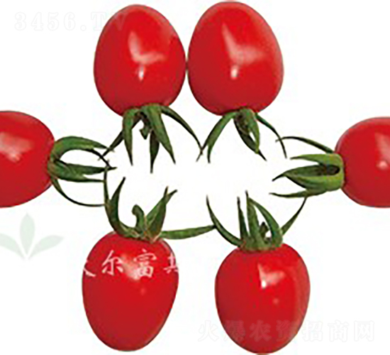 ��������̖(h��o)F1����TY�t��С���ѣ�-���ѷN��-�֠���˹