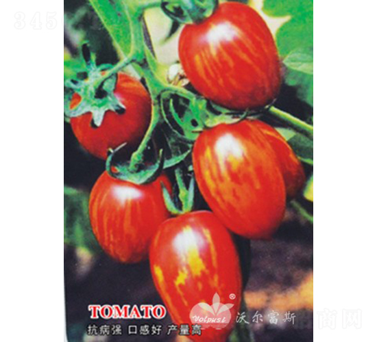 �ʼtһ̖(h��o)F1���t�S���y��ɫС���ѣ�-���ѷN��-�֠���˹