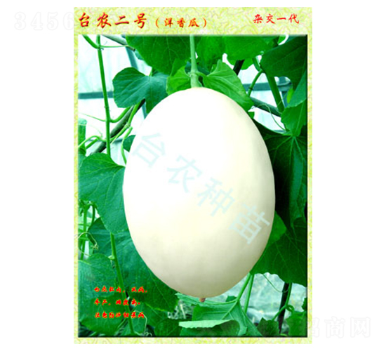 臺(tái)農(nóng)2號(hào)洋香瓜-香瓜種子-臺(tái)農(nóng)種苗