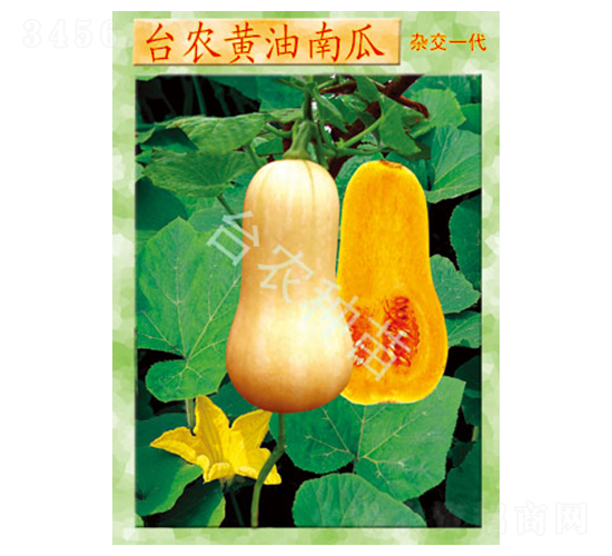 �_�r(n��ng)�S���Ϲ�-�ϹϷN��-�_�r(n��ng)�N��