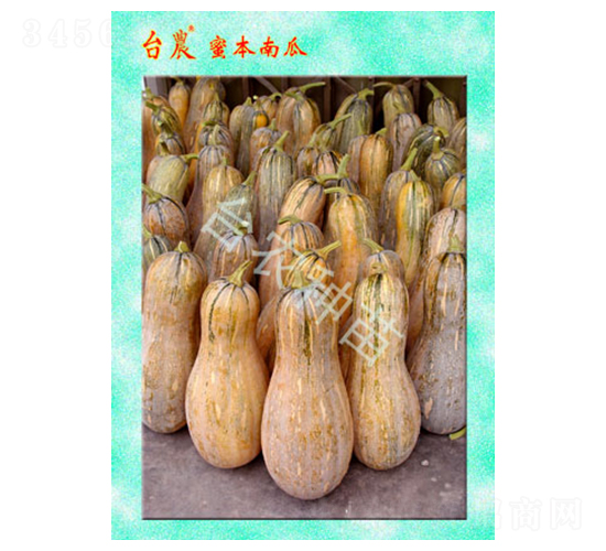 �_�r(n��ng)�ܱ��Ϲ�-�ϹϷN��-�_�r(n��ng)�N��