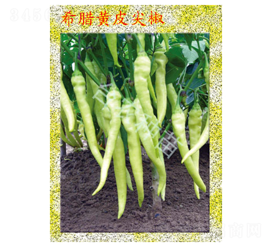 ϣ�D�SƤ�⽷-�����N��-�_�r(n��ng)�N��