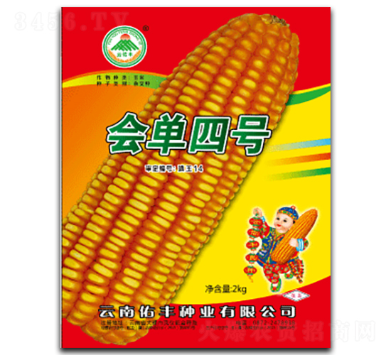 會(huì)單四號-玉米種子-云南佑豐種業(yè)