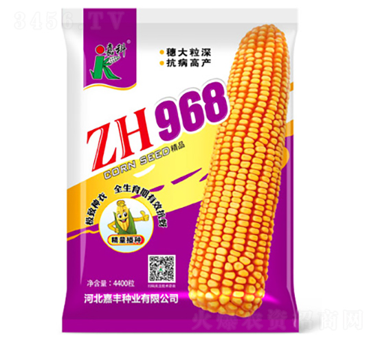 ZH968-���׷N��-�ο�