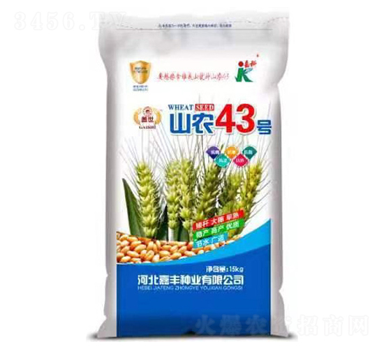 山農43號-小麥種子-嘉科