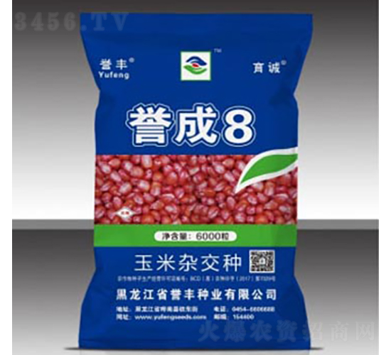 譽成8-玉米種子-譽豐