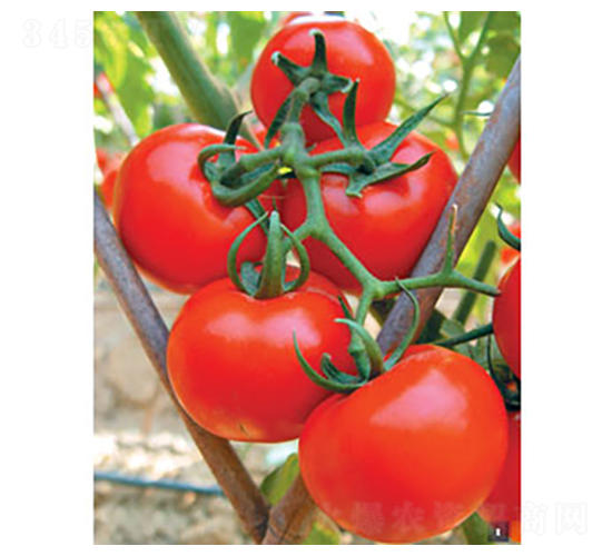 ����0626-�𸣈@�r(n��ng)�I(y��)