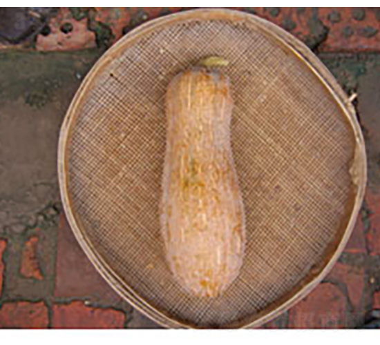 ���۴���Ϲ�-�ϹϷN��-�𸣈@�r(n��ng)�I(y��)