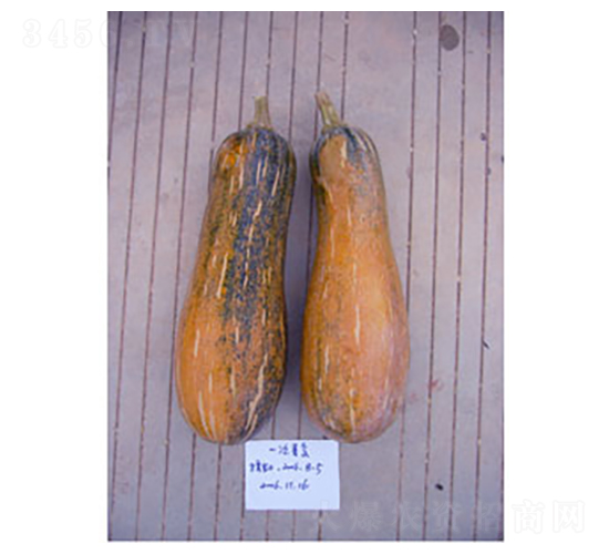 �������Ϲ�-�ϹϷN��-�𸣈@�r(n��ng)�I(y��)