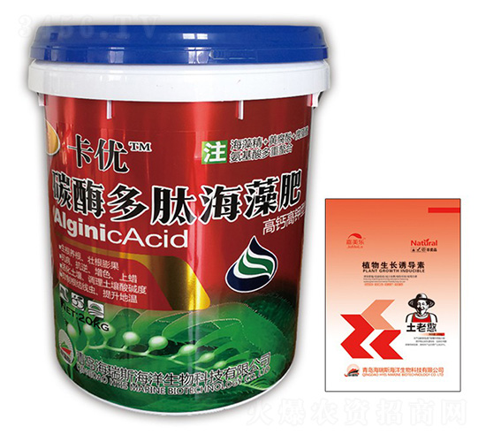 ����(y��u)��̼ø���ĺ����-����(y��u)-������-����˹