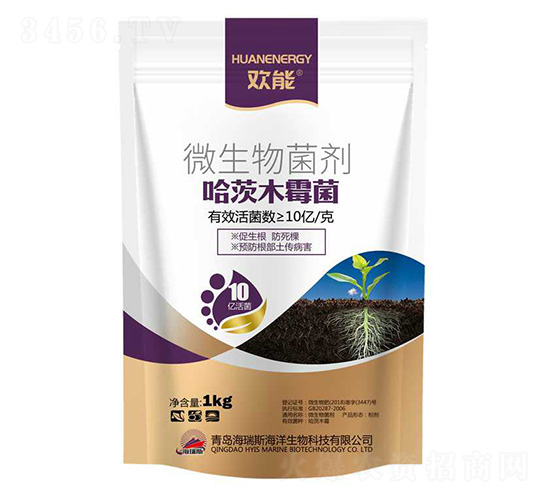 ����ľù��-�g��-����˹