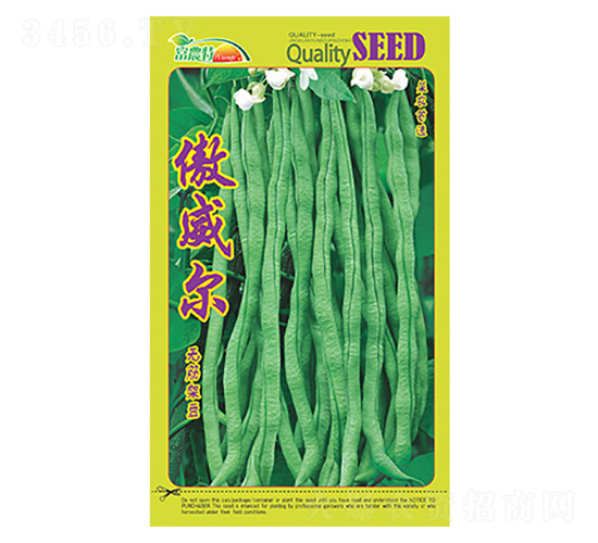 �o��ܶ�-������-����