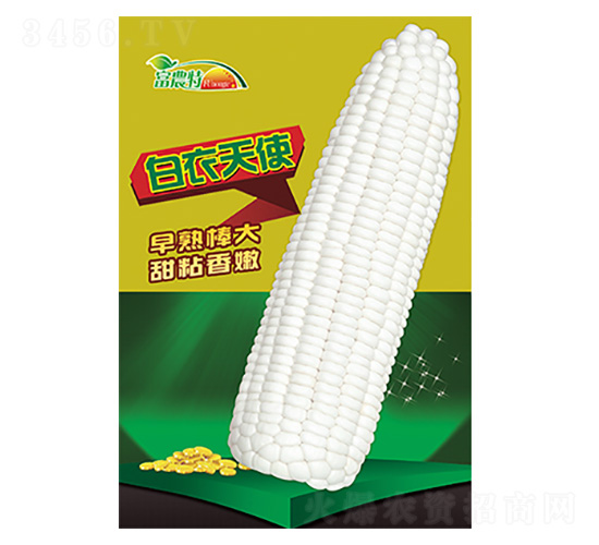 ���׷N��-������ʹ-����