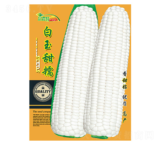 ���׷N��-������Ŵ-����