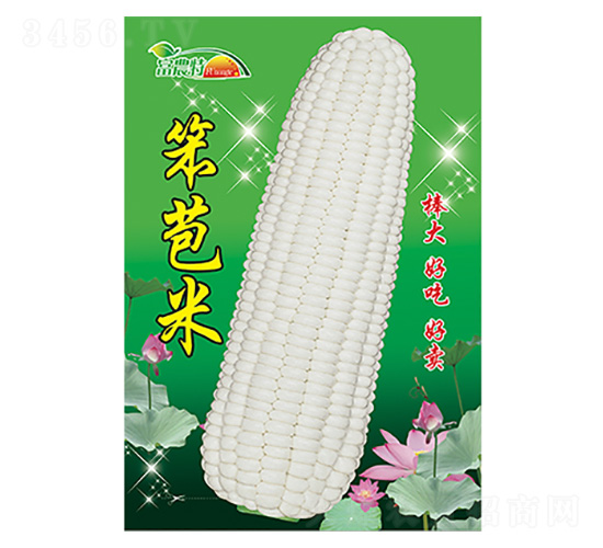 ���׷N��-������-����