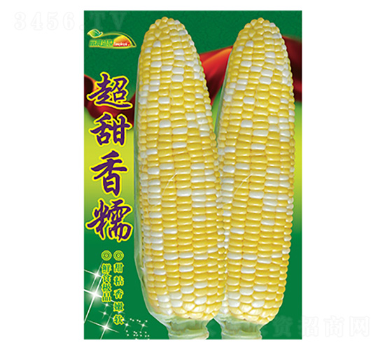 ���׷N��-������Ŵ-����