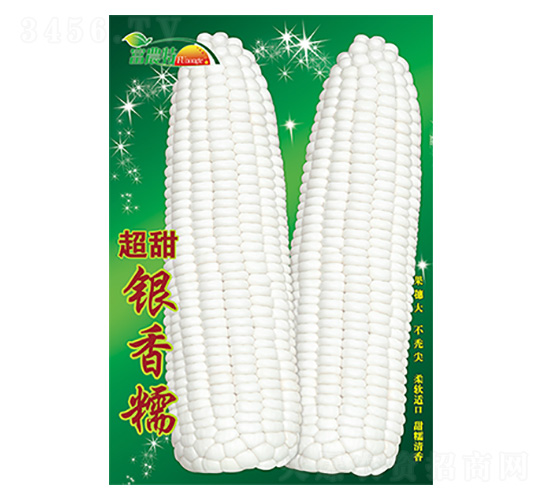 ���׷N��-�����y��Ŵ-����