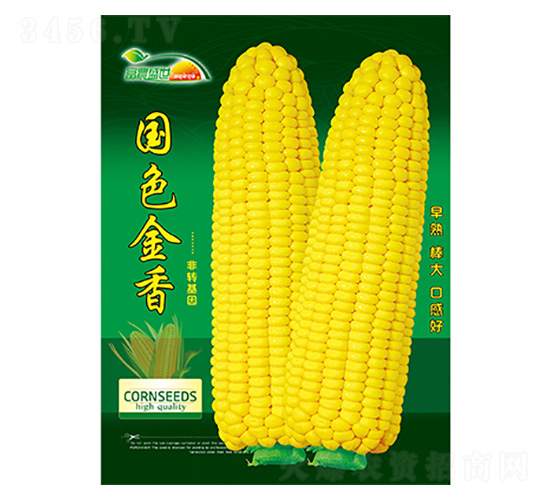 ���׷N��-��ɫ����-����