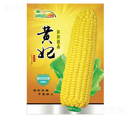 ���׷N��-�S��-����