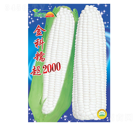 ���׷N��-���Ŵ��2000-����