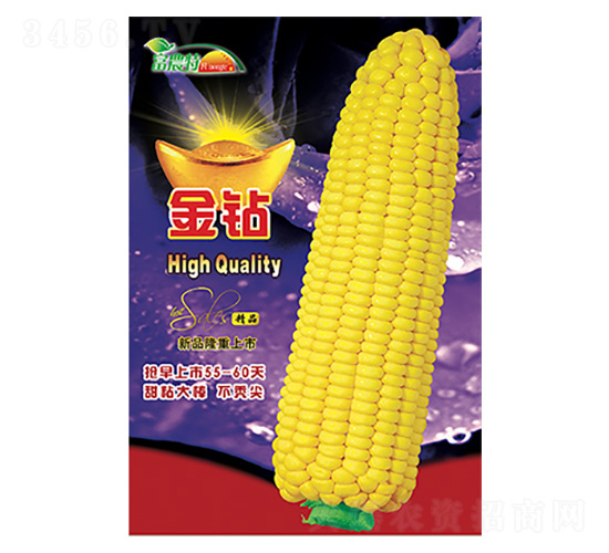 ���׷N��-���@-����