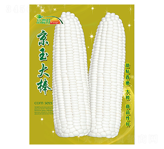 ���׷N��-������-����